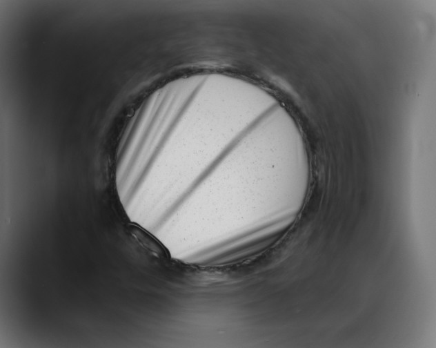 X0000088921448200707061355