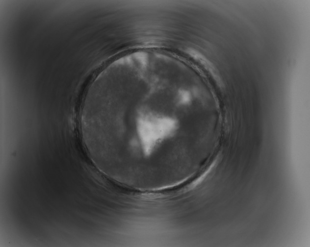 X0000088921449200707061355
