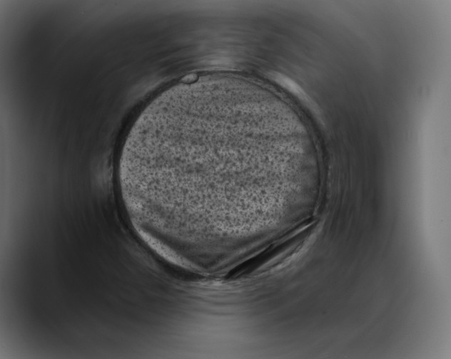 X0000088921450200707061355