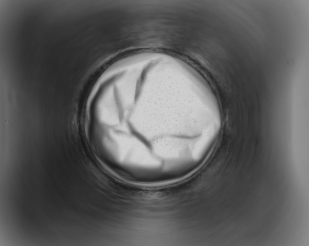 X0000088921452200707061355