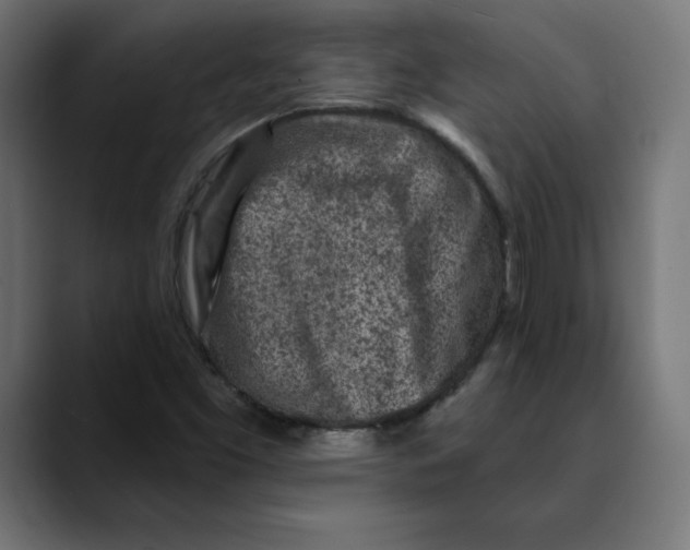 X0000088921453200707061355