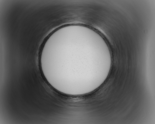 X0000088921460200707061354