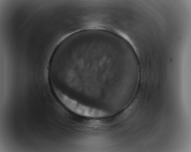 X0000088921463200707061354