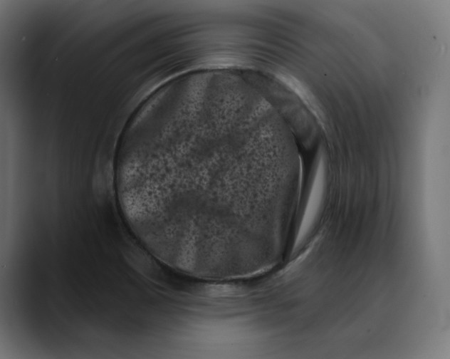 X0000088921465200707061354