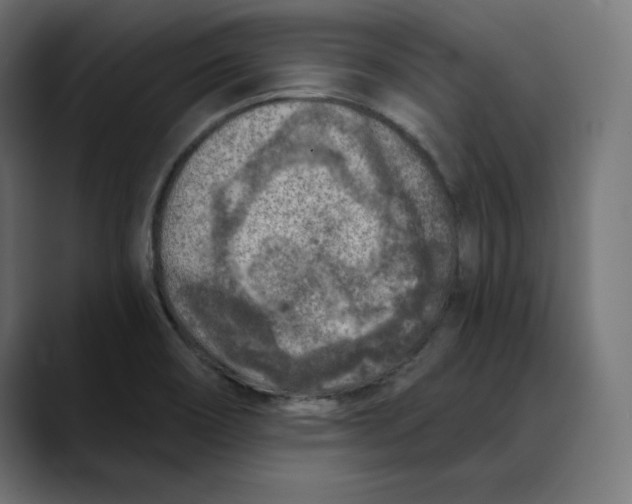 X0000088921466200707061354