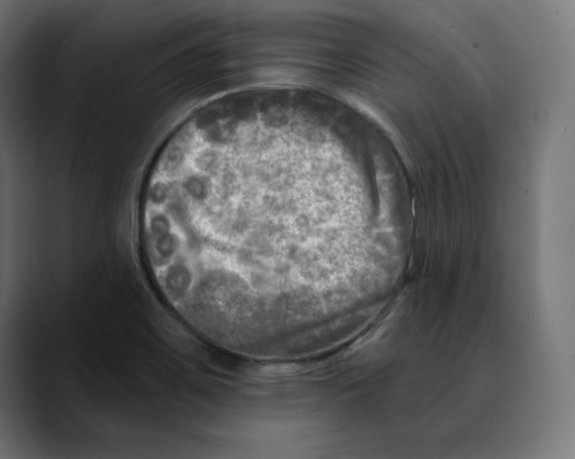 X0000088921467200707061354