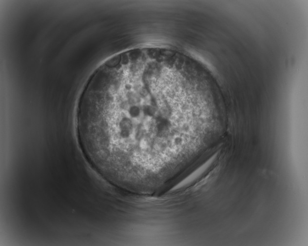 X0000088921471200707061354