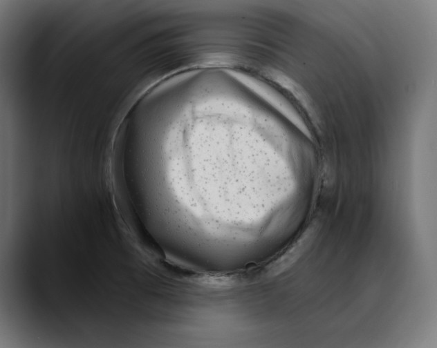 X0000088921473200707061354