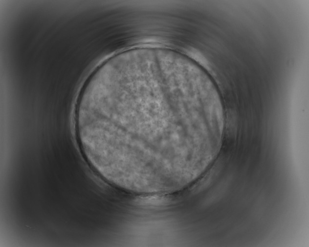 X0000088921474200707061354