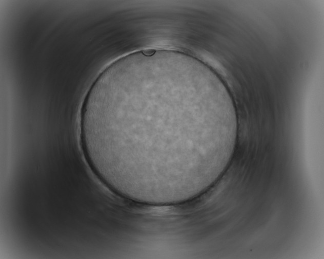 X0000088921479200707061354