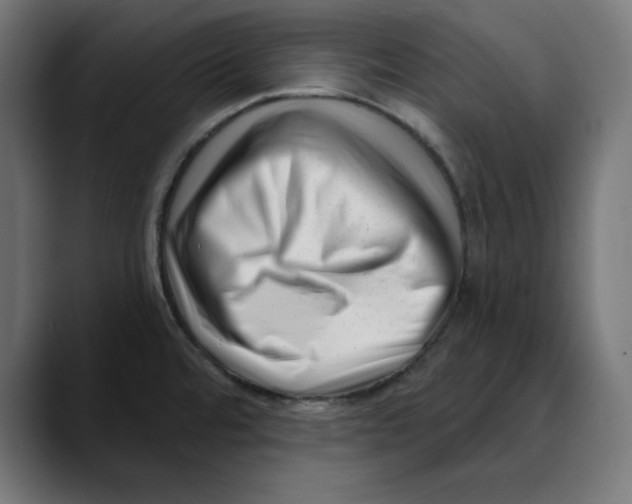 X0000088921480200707061354