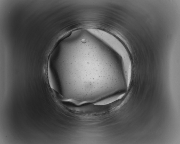 X0000088921481200707061354