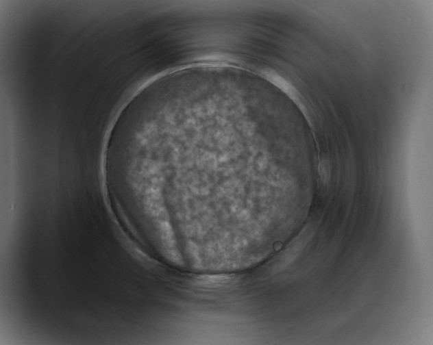 X0000088921482200707061354