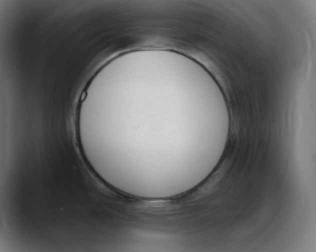 X0000088921486200707061354
