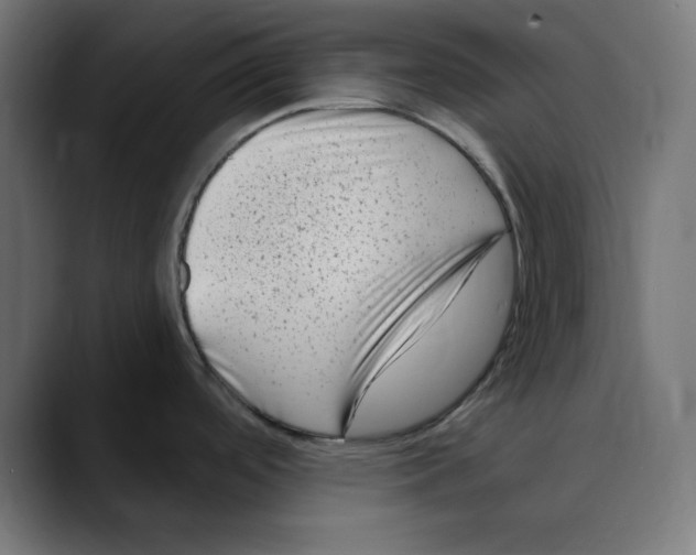 X0000088921488200707061354