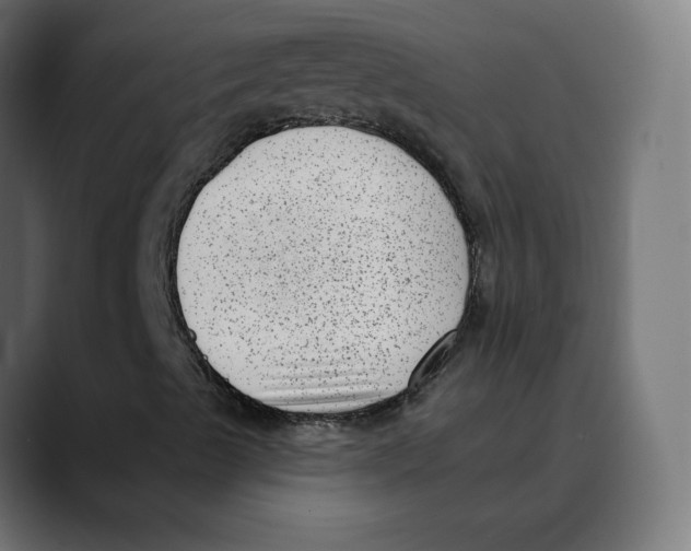 X0000088921489200707061354
