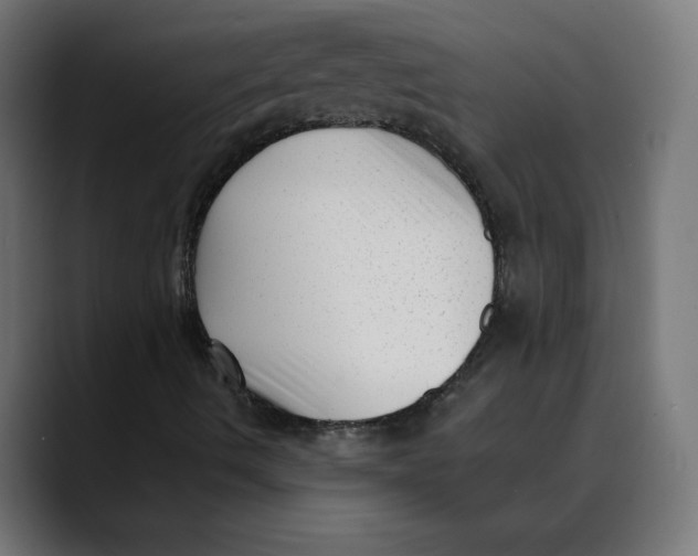 X0000088921490200707061354