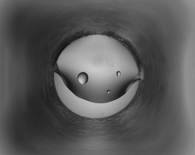 X0000088921492200707061354