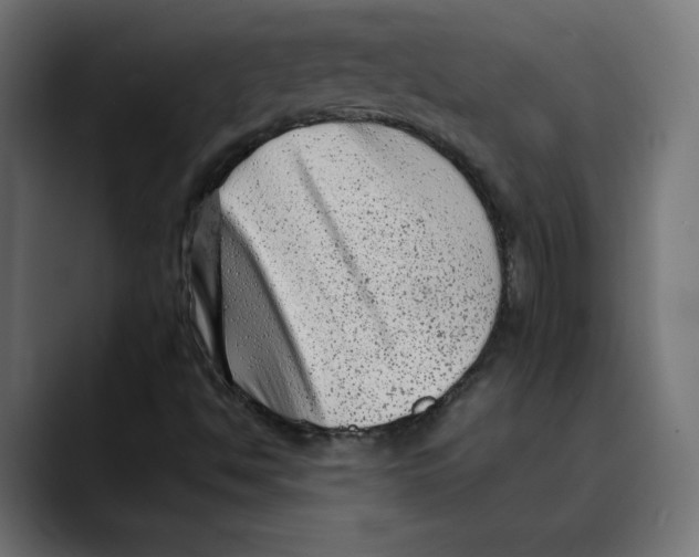 X0000088921494200707061354