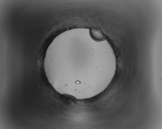 X0000088921495200707061354