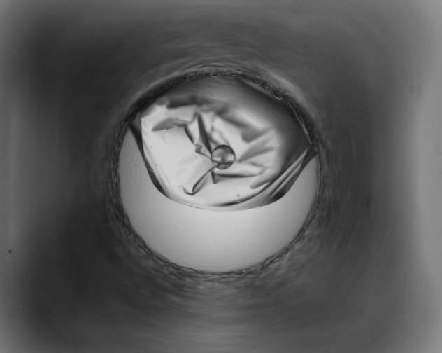 X0000088921496200707061354