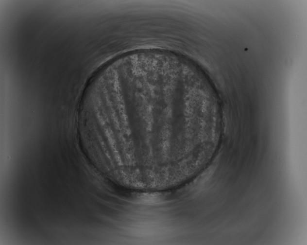 X0000088921497200707061354