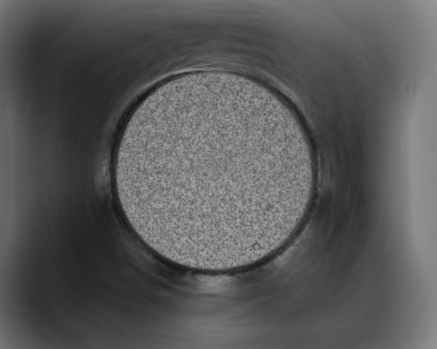 X0000088921498200707061354
