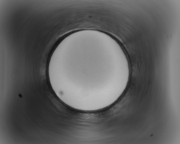 X0000088921499200707061354