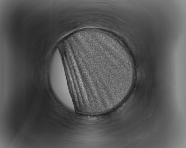 X0000088921505200707061354