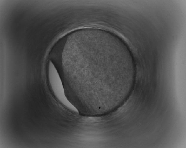 X0000088921506200707061354