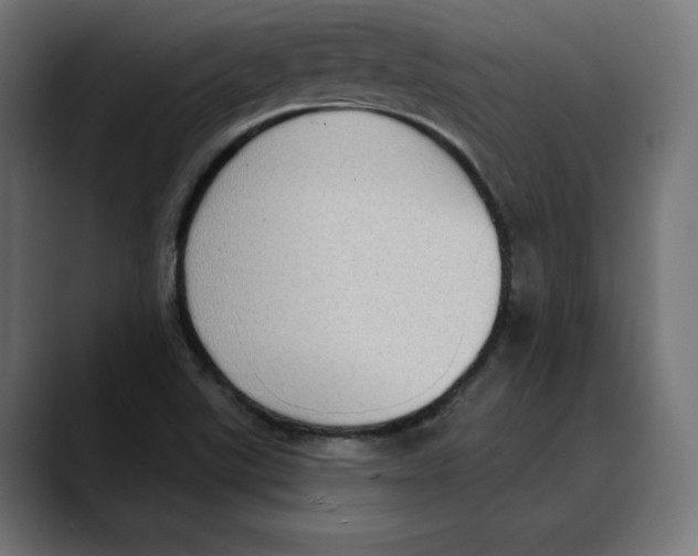 X0000088921507200707061354