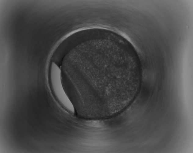 X0000088921508200707061354