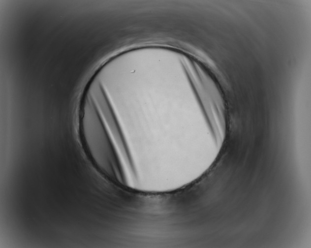 X0000088921512200707061354