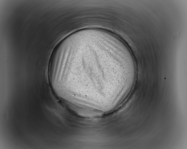 X0000088921513200707061354