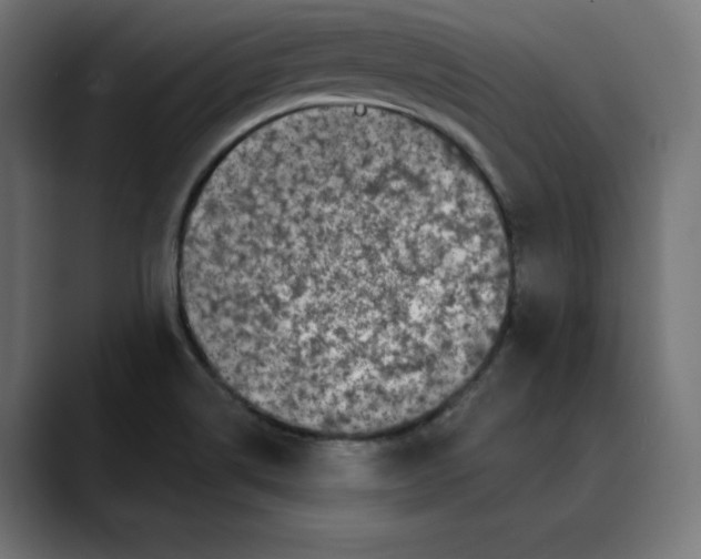 X0000088921514200707061354