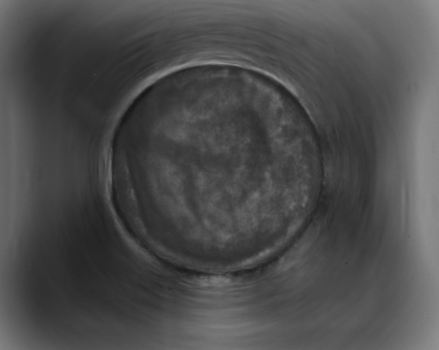 X0000088921515200707061354
