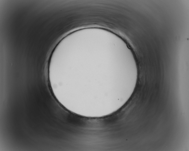 X0000088921516200707061354