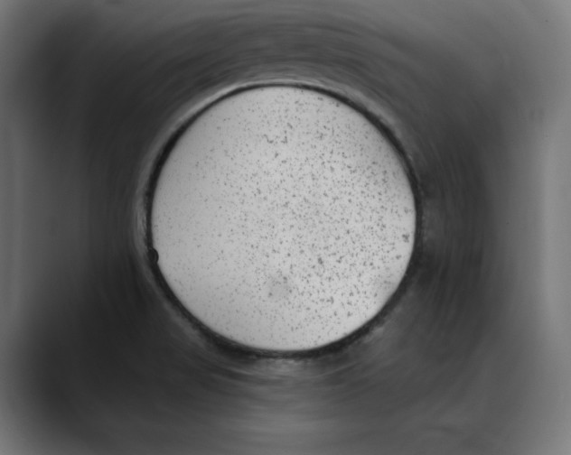 X0000088921517200707061354
