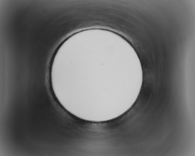 X0000088921518200707061354