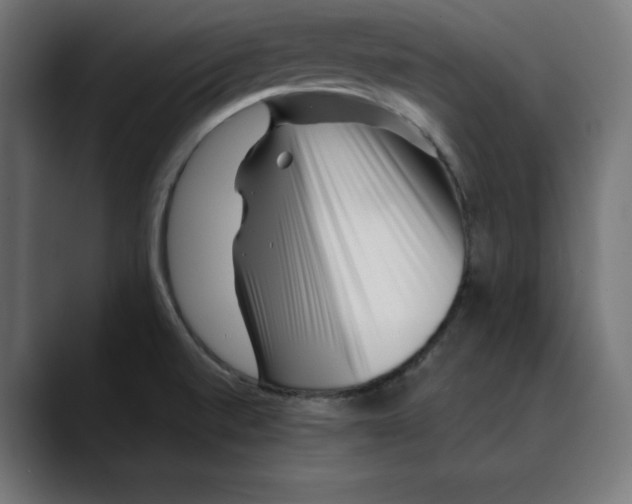 X0000088921520200707061354