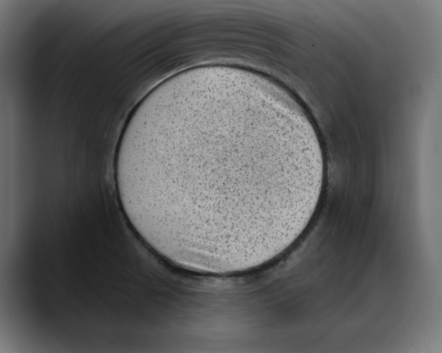 X0000088921521200707061354