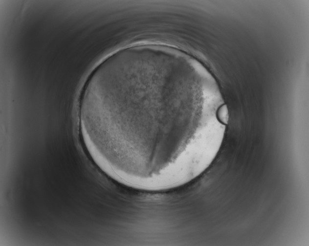 X0000088921522200707061354
