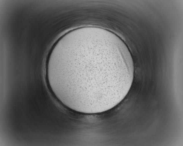 X0000088921523200707061354