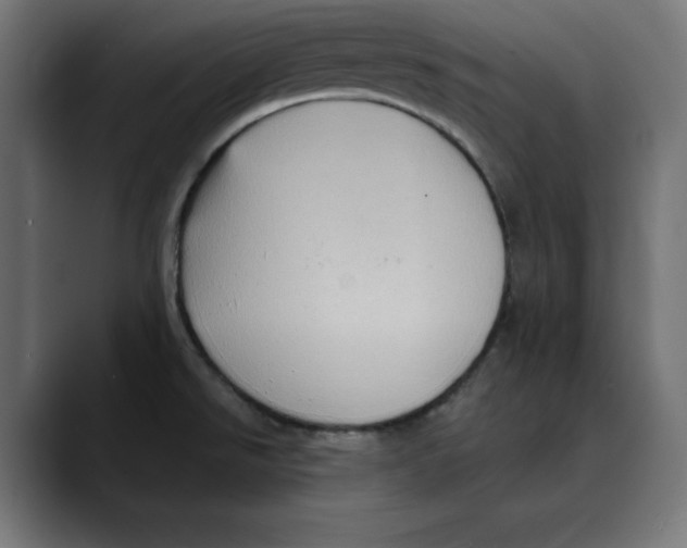 X0000088921526200707061354