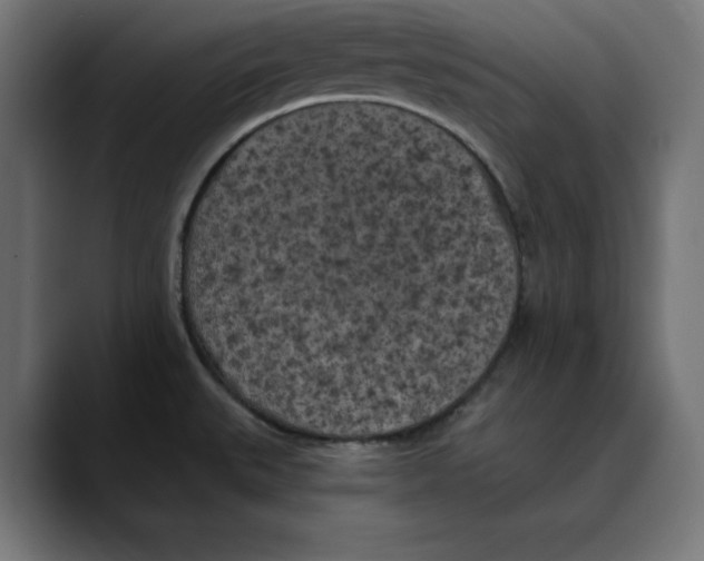 X0000088921527200707061354