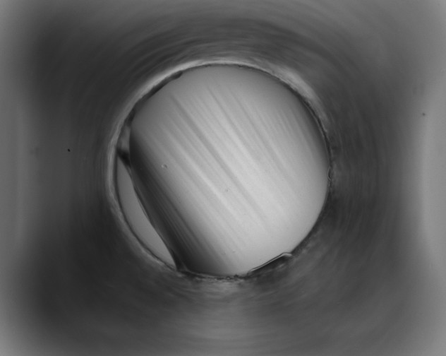 X0000088921528200707061354