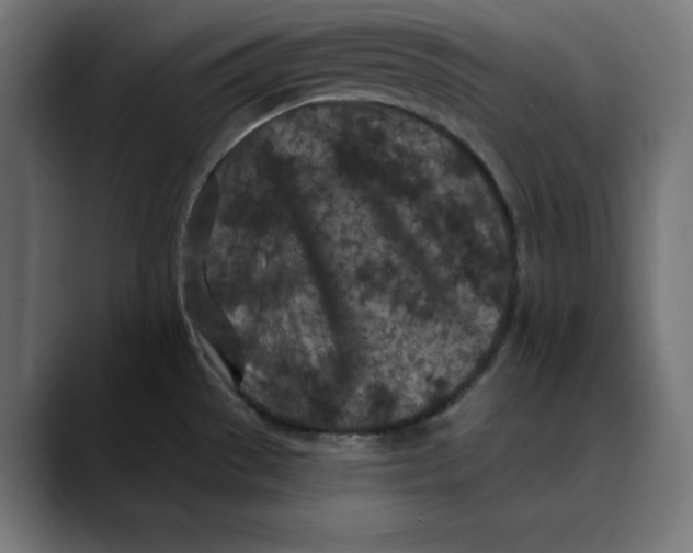 X0000088921529200707061354