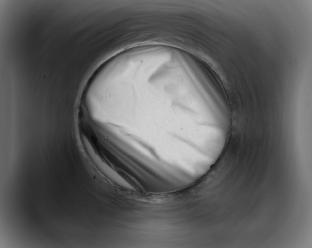 X0000088921530200707061354