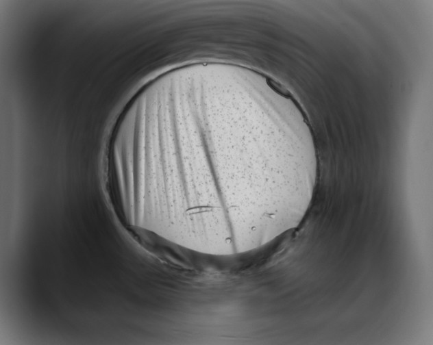 X0000088921531200707061354