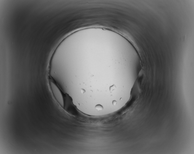 X0000088921532200707061354